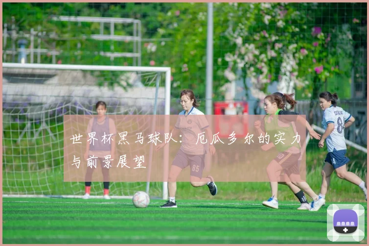 世界杯黑马球队：厄瓜多尔的实力与前景展望