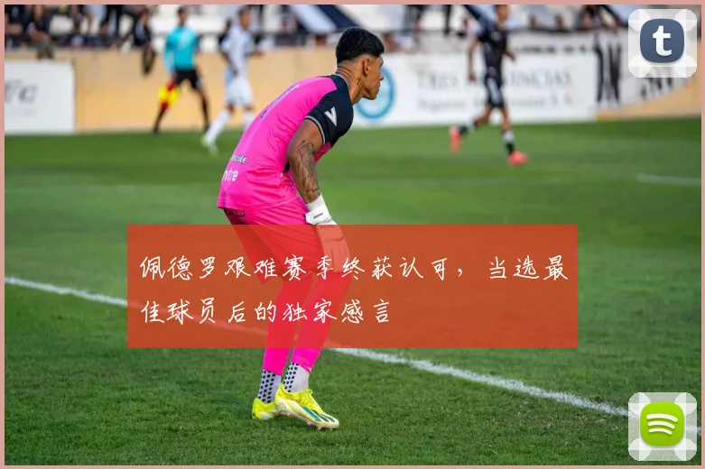 佩德罗艰难赛季终获认可，当选最佳球员后的独家感言