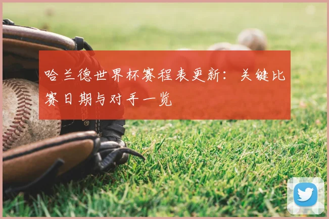 哈兰德世界杯赛程表更新：关键比赛日期与对手一览