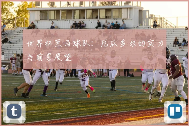世界杯黑马球队：厄瓜多尔的实力与前景展望
