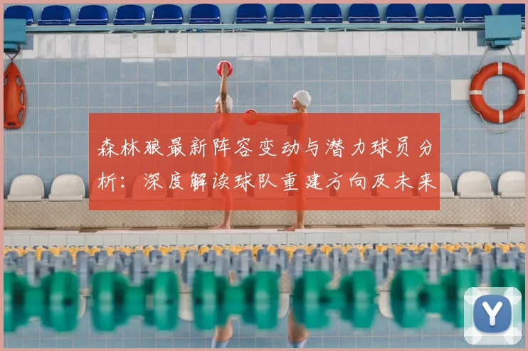 森林狼最新阵容变动与潜力球员分析：深度解读球队重建方向及未来展望